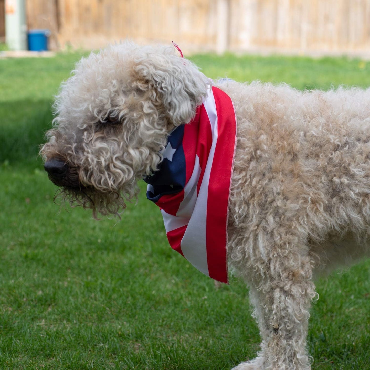 American Flag Dog Bandana (Classic, Large)